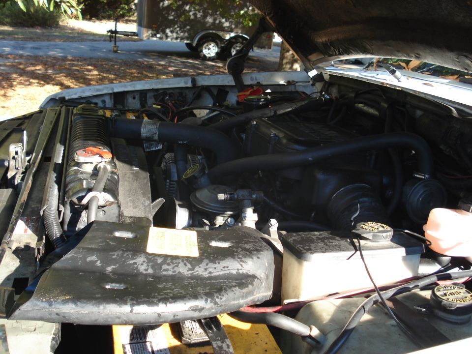 Engine bay with radiator and hoses visible