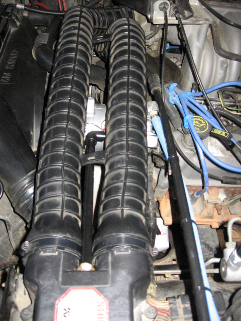 1995 Ford Bronco - Close-up of engine components, focusing on dual intake tubes and associated wiring.