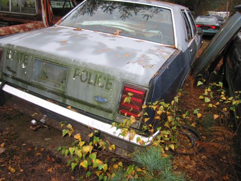 1991 Ford LTD Crown Victoria - Rear view of a weathered 1991 Ford Crown Victoria LTD police car, marked 'STATE POLICE', in a junkyard setting.