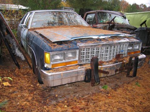 1991 Ford LTD Crown Victoria - An old blue sedan sits abandoned in a yard, covered in fallen pine needles and leaves.