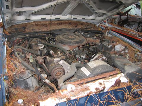 1991 Ford LTD Crown Victoria - The engine bay of a 1991 Ford Crown Victoria LTD is heavily weathered and filled with debris.