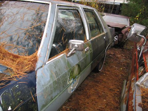 1991 Ford LTD Crown Victoria - A neglected sedan sits in a junkyard, its side profile obscured by pine needles and moss.
