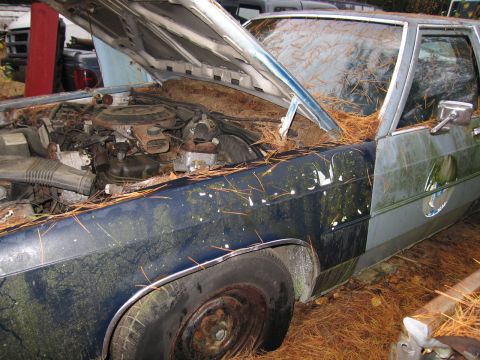 1991 Ford LTD Crown Victoria - Junkyard 1991 Ford Crown Victoria LTD shows its engine bay, filled with debris.