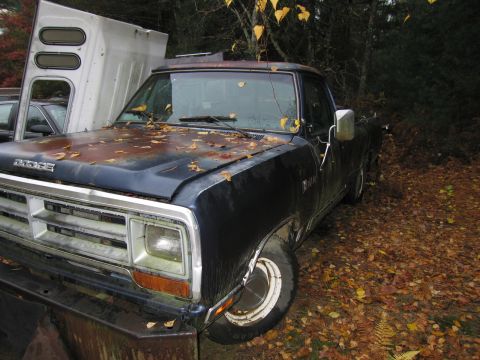 1991 Ford LTD Crown Victoria - A dark blue Dodge pickup truck sits in a yard covered with fallen leaves, next to a white camper shell.