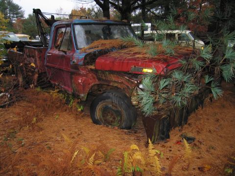 1991 Ford LTD Crown Victoria - An old tow truck sits abandoned in a junkyard, partially covered by pine needles and branches.