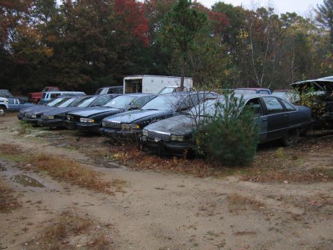 1991 Ford LTD Crown Victoria - Several older model sedans are lined up in a junkyard under a cloudy sky.