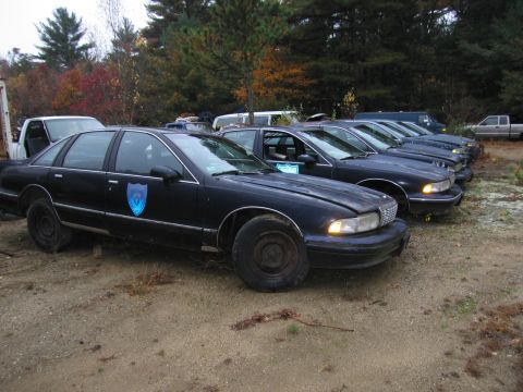 1991 Ford LTD Crown Victoria - Line of retired black Chevrolet Caprice sedans with a faded badge decal, parked on dirt among autumn trees.