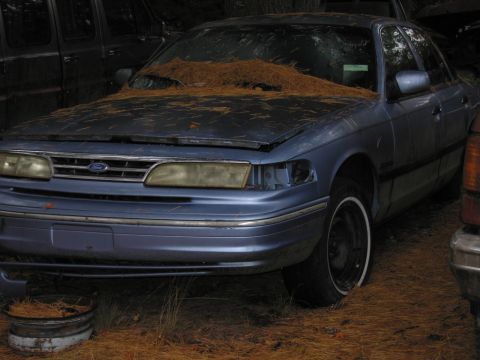 1991 Ford LTD Crown Victoria - A blue 1991 Ford Crown Victoria LTD is parked in a junkyard, covered in pine needles.