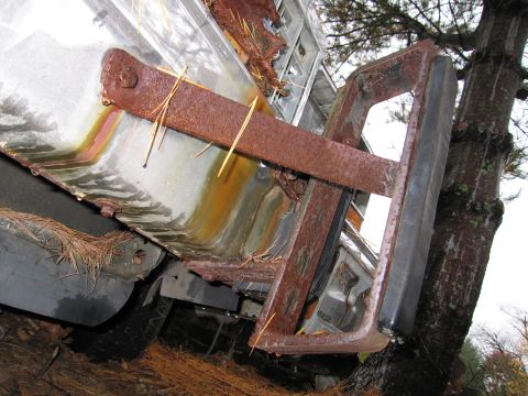 1991 Ford LTD Crown Victoria - The heavily rusted rear bumper and fender of a vehicle are visible, partially obscured by pine needles and a tree.