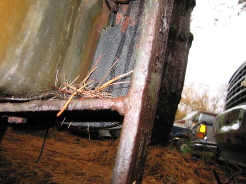 1991 Ford LTD Crown Victoria - Rusted metal structure with pine needles, other vehicles in the background.