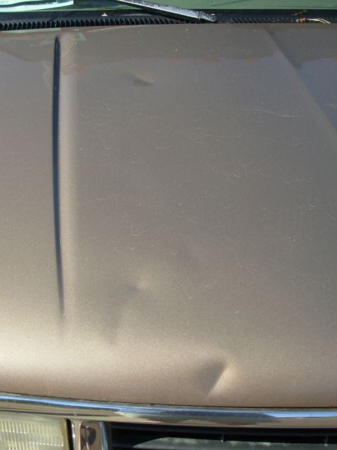1997 Chevrolet Silverado 3500 - Hood dented by trees from hurricane Rita. The rear 2 have now been repaired and look like this: [url=http://www.supermotors.net/registry/me…