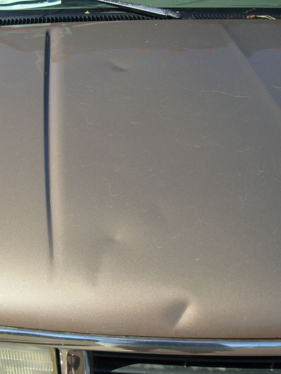 Close-up of a tan vehicle hood showing paint and dents