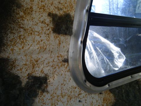 1981 Ford E350 - The interior of a vehicle shows a damaged wall and a window frame with plastic sheeting covering the glass.