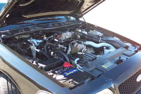 2001 Ford Crown Victoria - Engine bay of a 2001 Ford Crown Victoria, showing the V8 engine and associated components.