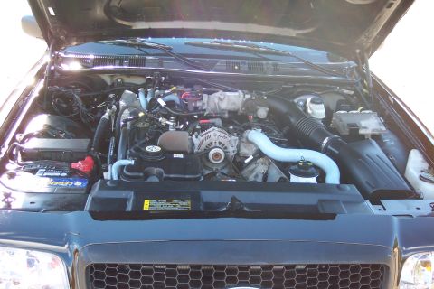 2001 Ford Crown Victoria - Engine bay of a 2001 Ford Crown Victoria, showing the V8 engine and associated components.