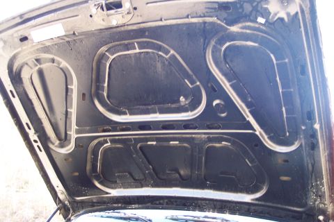 2001 Ford Crown Victoria - The underside of a car hood is visible, revealing its internal structure and insulation.