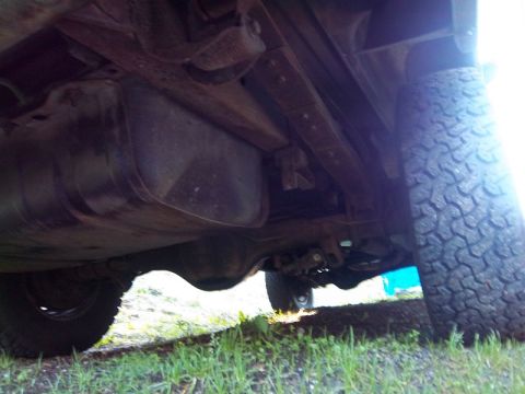 1981 Ford Bronco photo