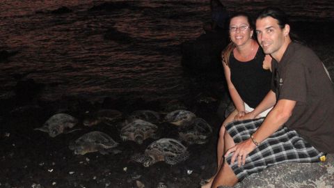1989 Ford Bronco - A group of sea turtles rests on a dark beach as two people observe them from a rocky outcrop.
