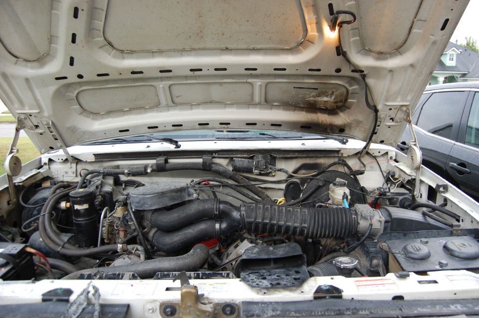White 1994 Ford Bronco engine bay with open hood, showing engine components and some dust