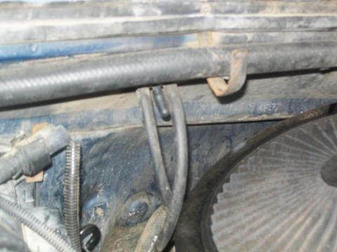 1987 Ford Bronco - Hoses and a belt are visible in the engine compartment of a vehicle.