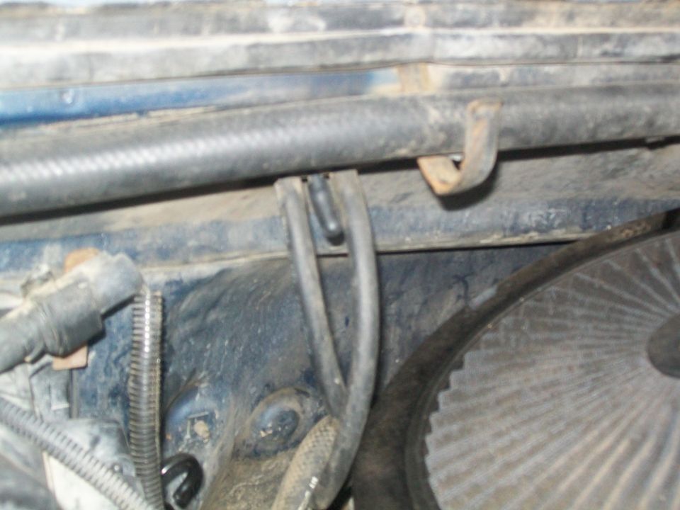Close-up of hoses and a belt in a vehicle's engine bay