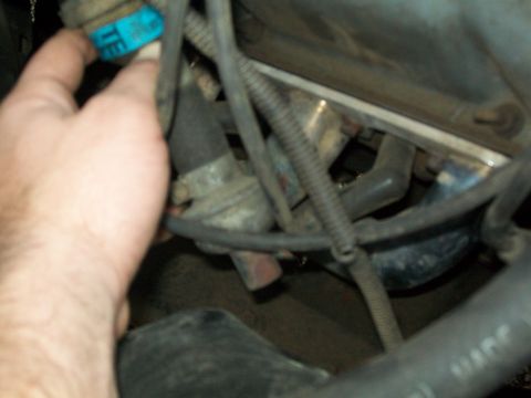 1987 Ford Bronco - A hand reaches for a blue connector amidst the complex wiring and hoses of a vehicle's engine compartment.