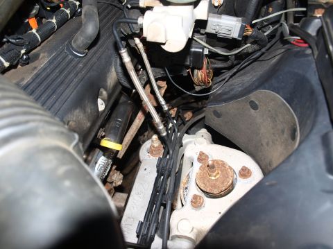 1998 Ford Crown Victoria - Engine-bay close-up looking down past a ribbed black valve cover and intake tube at braided stainless lines, a white plastic reservoir, a r…