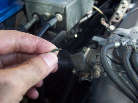 1992 Eagle Talon “Bluebird”