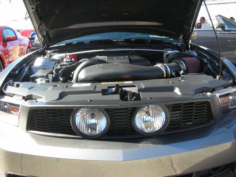 1998 Ford Crown Victoria - Front view of a gray Mustang with open hood showing twin round fog lamps, blacked-out grille and supercharger plumbing.