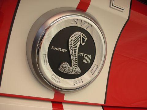 1998 Ford Crown Victoria - Close-up of a circular Shelby GT500 SVT cobra emblem set into a red car panel with a white racing stripe.
