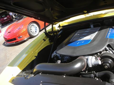 1998 Ford Crown Victoria - Close engine-bay view of a red Corvette showing blue 'CORVETTE' valve covers and intake plumbing under a raised hood.