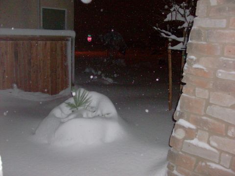 1995 Ford Bronco - A snowy scene at night, with a plant peeking out from a snowdrift. A brick pillar is on the right.