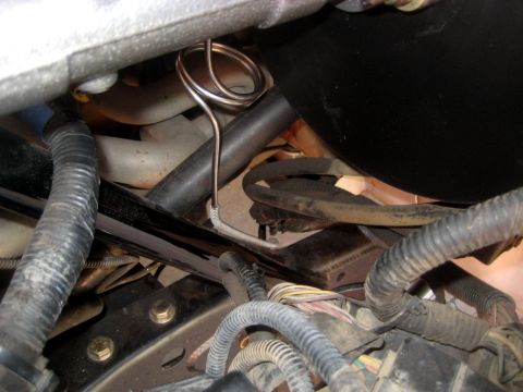 1996 Ford Bronco - A complex network of hoses and wiring is seen within the engine compartment of a vehicle.