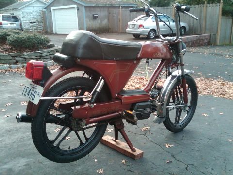 1981 Garelli Rally Sport - A red moped is shown from a three-quarter front view, with a brown seat and chrome accents.