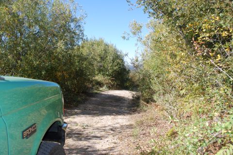 1996 Ford Bronco - A 1996 Ford Bronco is parked on a dirt road surrounded by trees.
