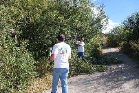 1996 Ford Bronco - Two men work on clearing brush from a dirt road, with a green SUV parked further down the path.