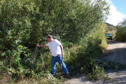 1996 Ford Bronco - Man works on clearing brush on a dirt road with a vehicle parked further down the path.