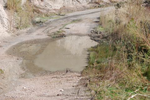 1996 Ford Bronco - A dirt road features a large puddle, with dry vegetation lining the path.
