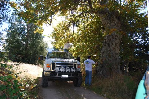 1996 Ford Bronco - A silver Ford F-Series truck is parked on a dirt road under a large tree with two people nearby.