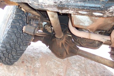 1990 Ford Bronco - Stuffed spring