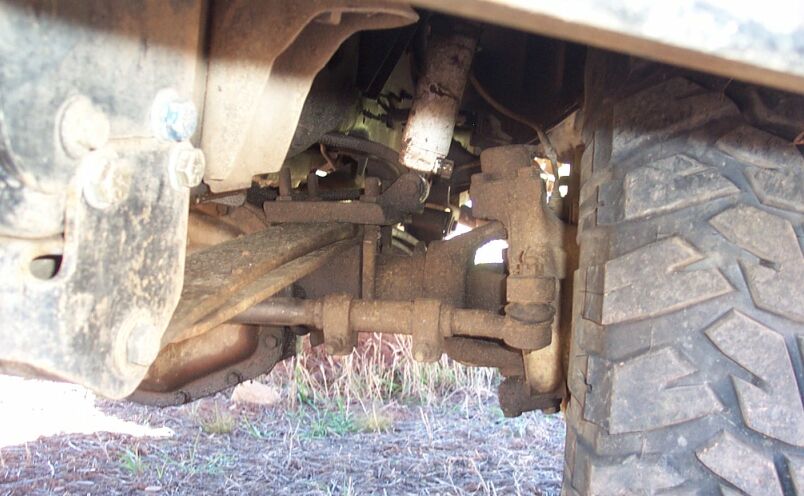 Here's a poser shot in my front yard.  Here the driver's front is stuffed.  Quite a bit of negative arch on that sping