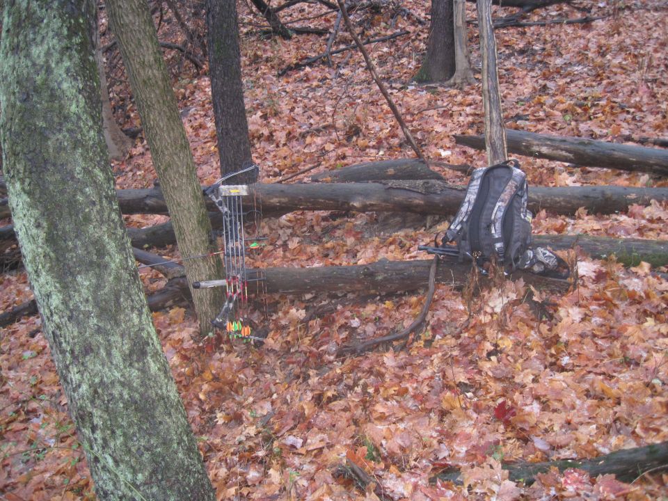 Compound bow with arrows and a camouflage backpack rest against fallen logs in a wooded area covered with autumn leaves