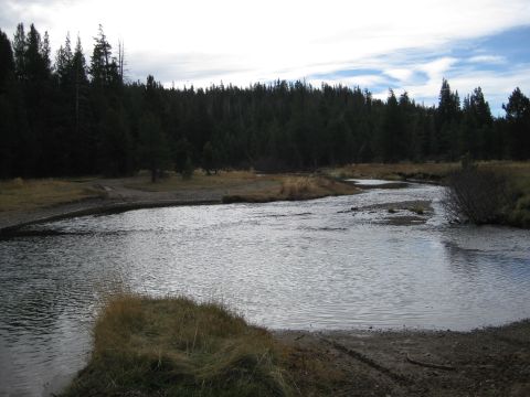 1986 Ford Bronco - A wide river winds through a natural landscape with trees lining the far bank.