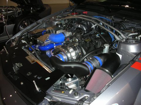 1998 Ford Crown Victoria - supercharged Mustang engine bay with blue silicone hoses, a chrome supercharger, polished strut brace and a red cone air filter.