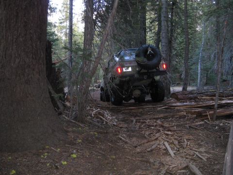 1986 Ford Bronco - A Ford Bronco navigates a wooded trail with fallen logs.