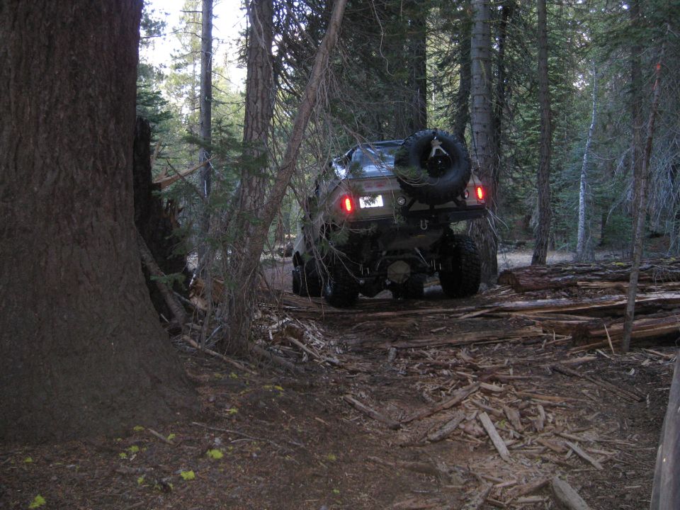 Dark green Ford Bronco with spare tire on rear, off-roading in a forest