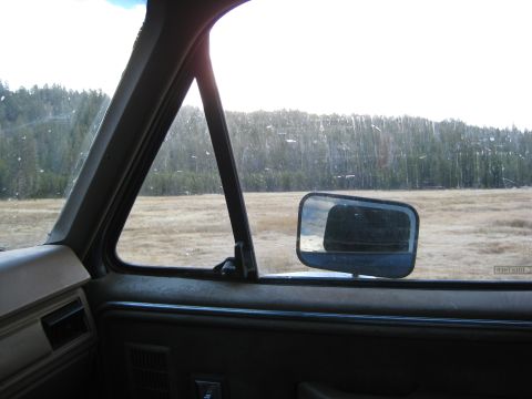 1986 Ford Bronco - Looking out the passenger side window of a vehicle at a dry, grassy field and a treeline.