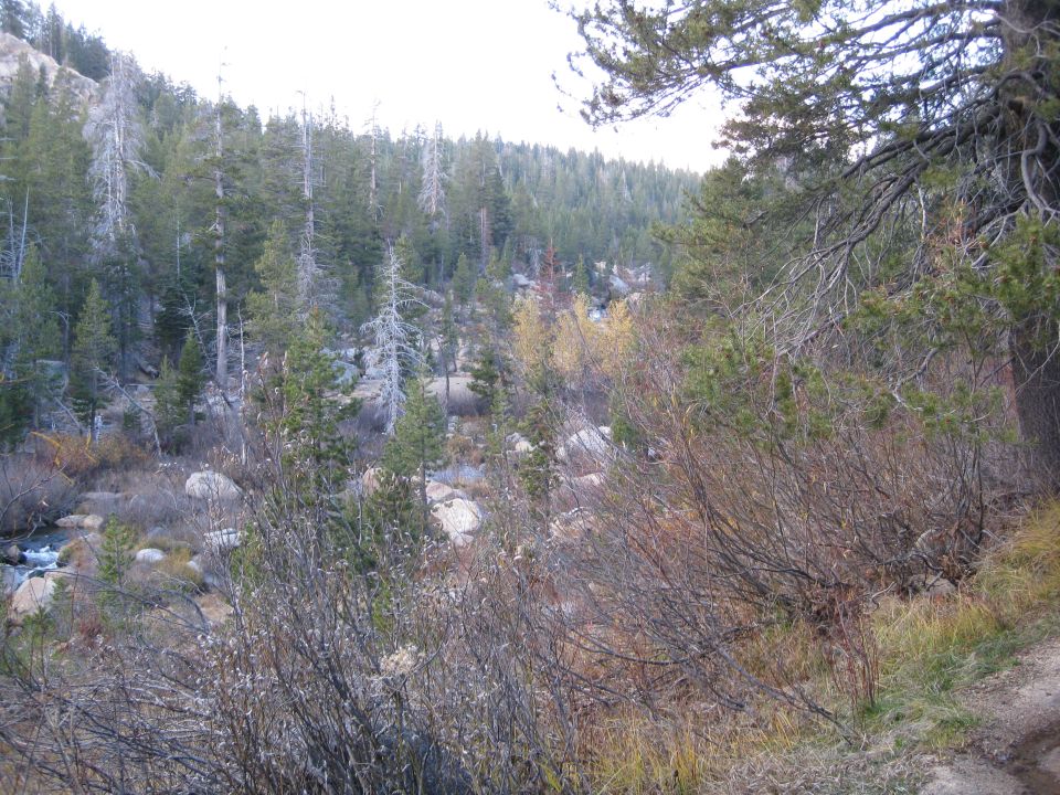 Wooded mountain landscape with a stream and dry brush