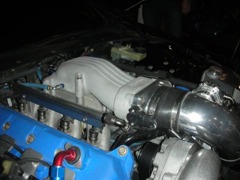 1998 Ford Crown Victoria - V8 engine featuring a cast aluminum intake, a blue valve cover and a polished belt-driven supercharger in an engine bay.