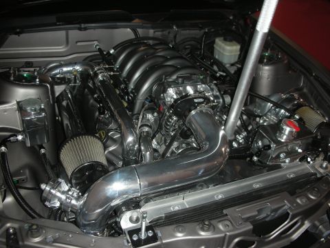 1998 Ford Crown Victoria - Engine bay showing a V8 with twin conical air filters, a large polished intake tube, and a brake fluid reservoir under a propped hood.